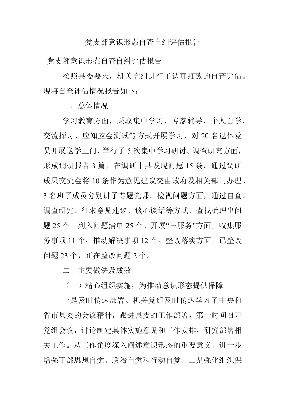 党支部意识形态自查自纠评估报告.docx_第1页