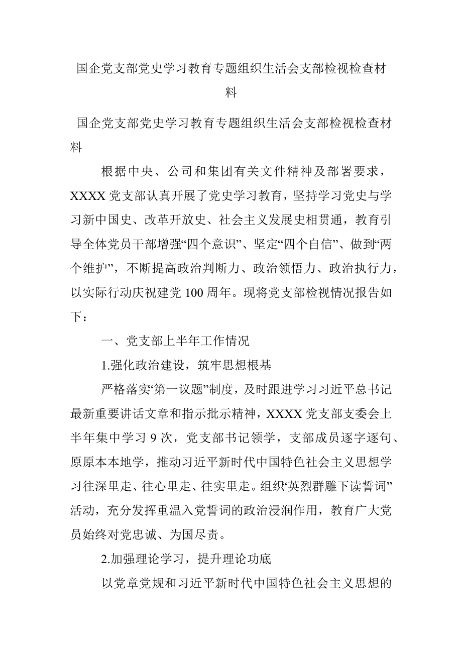 国企党支部党史学习教育专题组织生活会支部检视检查材料.docx_第1页