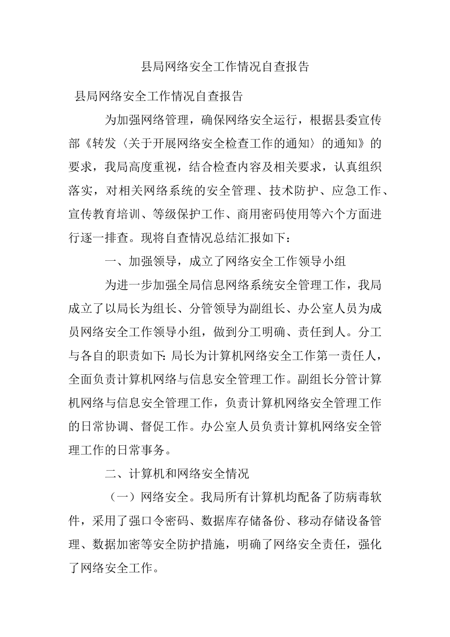 县局网络安全工作情况自查报告.docx_第1页