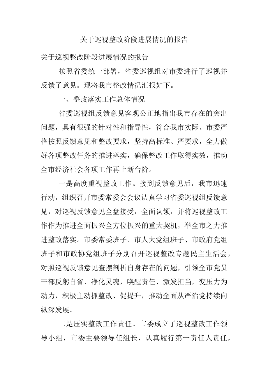 关于巡视整改阶段进展情况的报告.docx_第1页