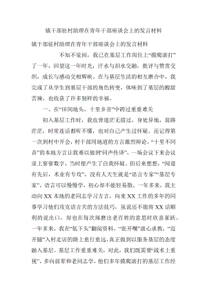 镇干部驻村助理在青年干部座谈会上的发言材料.docx