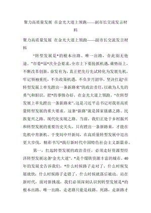 聚力高质量发展 在金光大道上领跑——副市长交流发言材料.docx