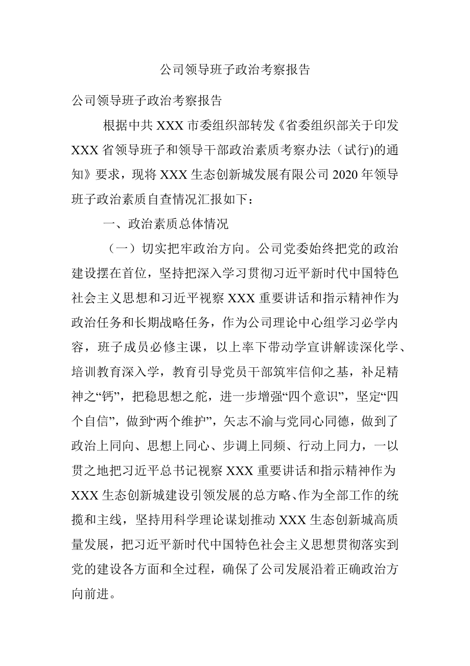 公司领导班子政治考察报告.docx_第1页