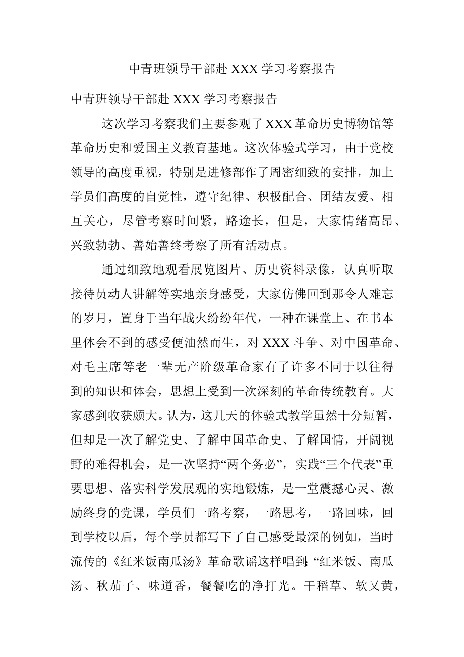 中青班领导干部赴XXX学习考察报告.docx_第1页