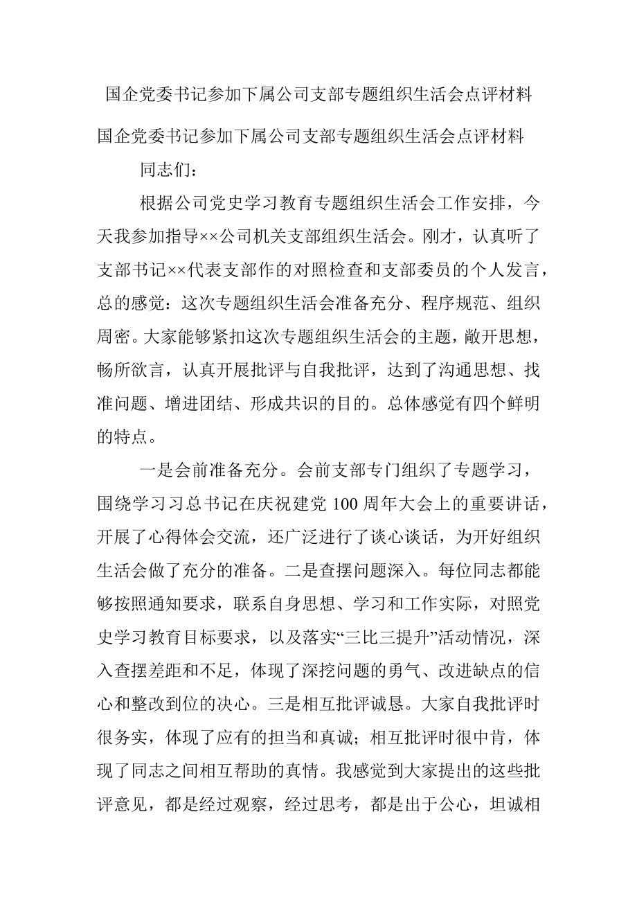 国企党委书记参加下属公司支部专题组织生活会点评材料_1.docx_第1页