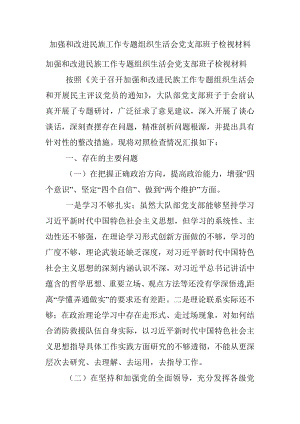 加强和改进民族工作专题组织生活会党支部班子检视材料.docx