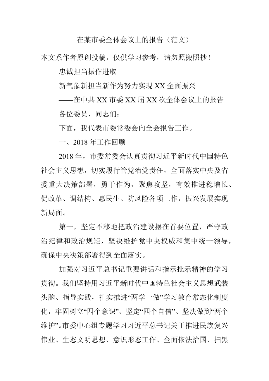 在某市委全体会议上的报告（范文）.docx_第1页