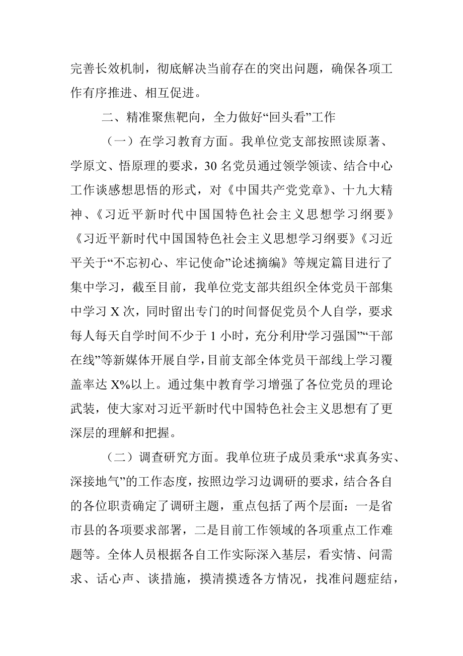 主题教育回头看总结报告.docx_第2页