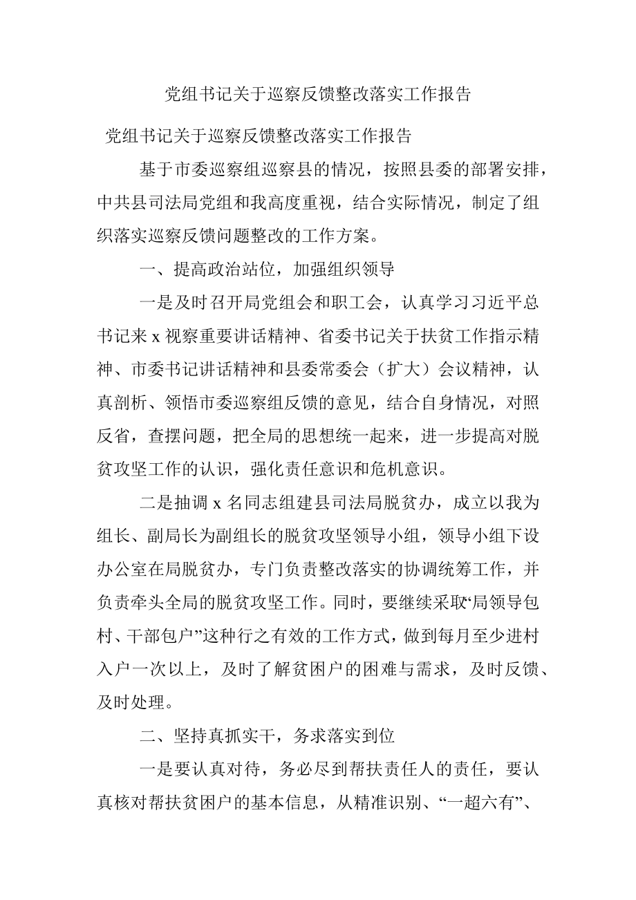 党组书记关于巡察反馈整改落实工作报告.docx_第1页