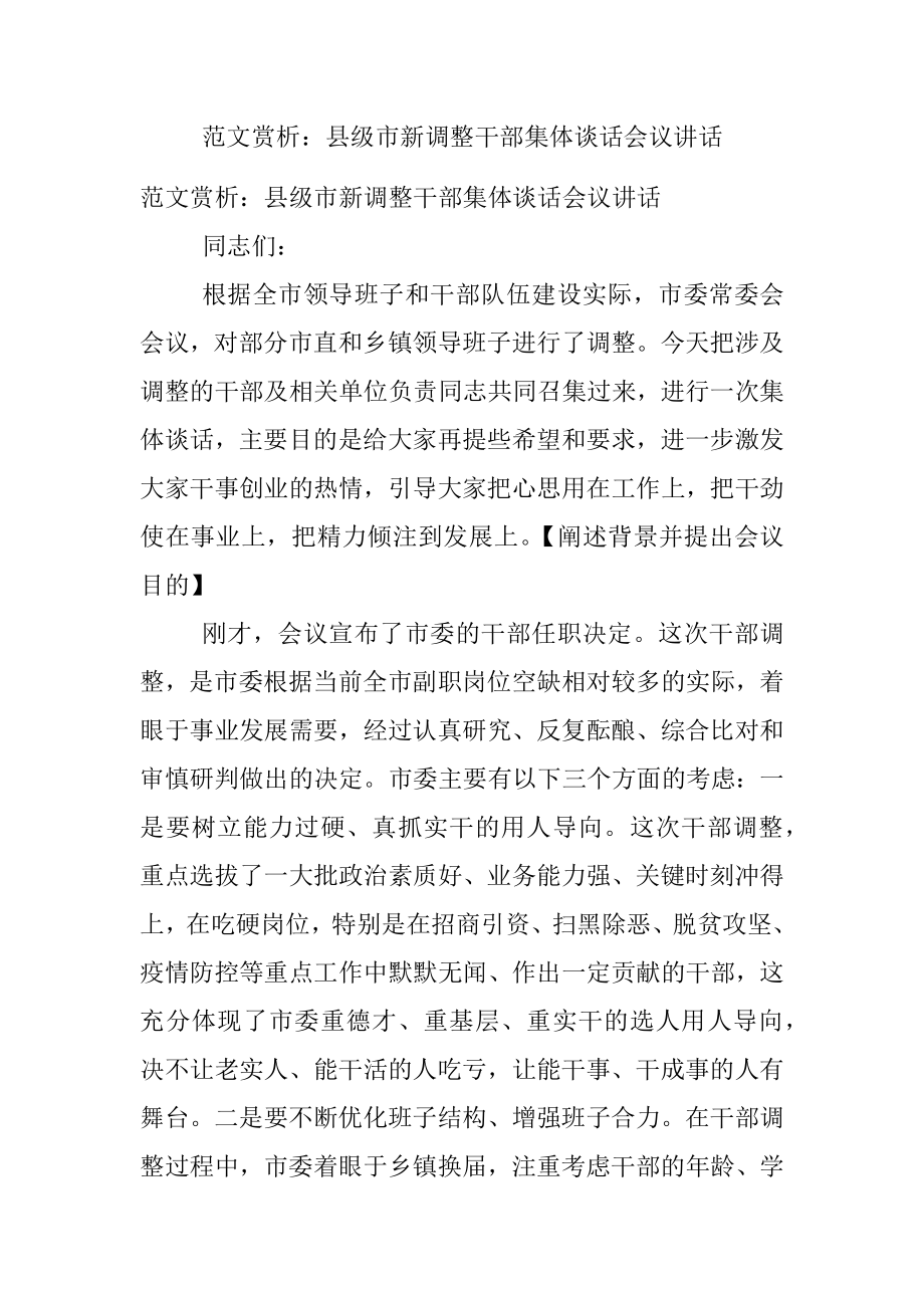 范文赏析：县级市新调整干部集体谈话会议讲话.docx_第1页