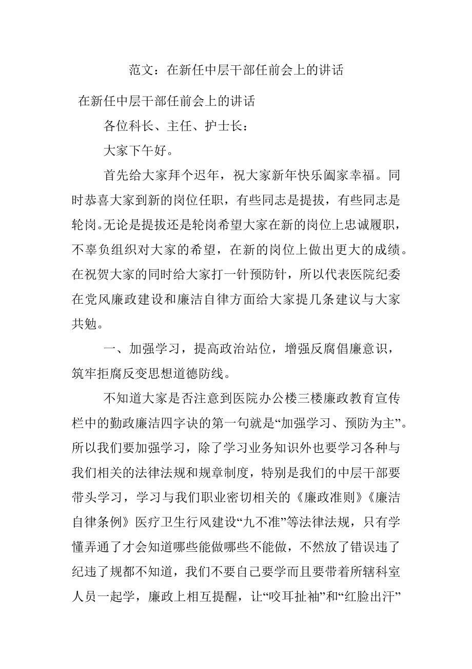 范文：在新任中层干部任前会上的讲话.docx_第1页