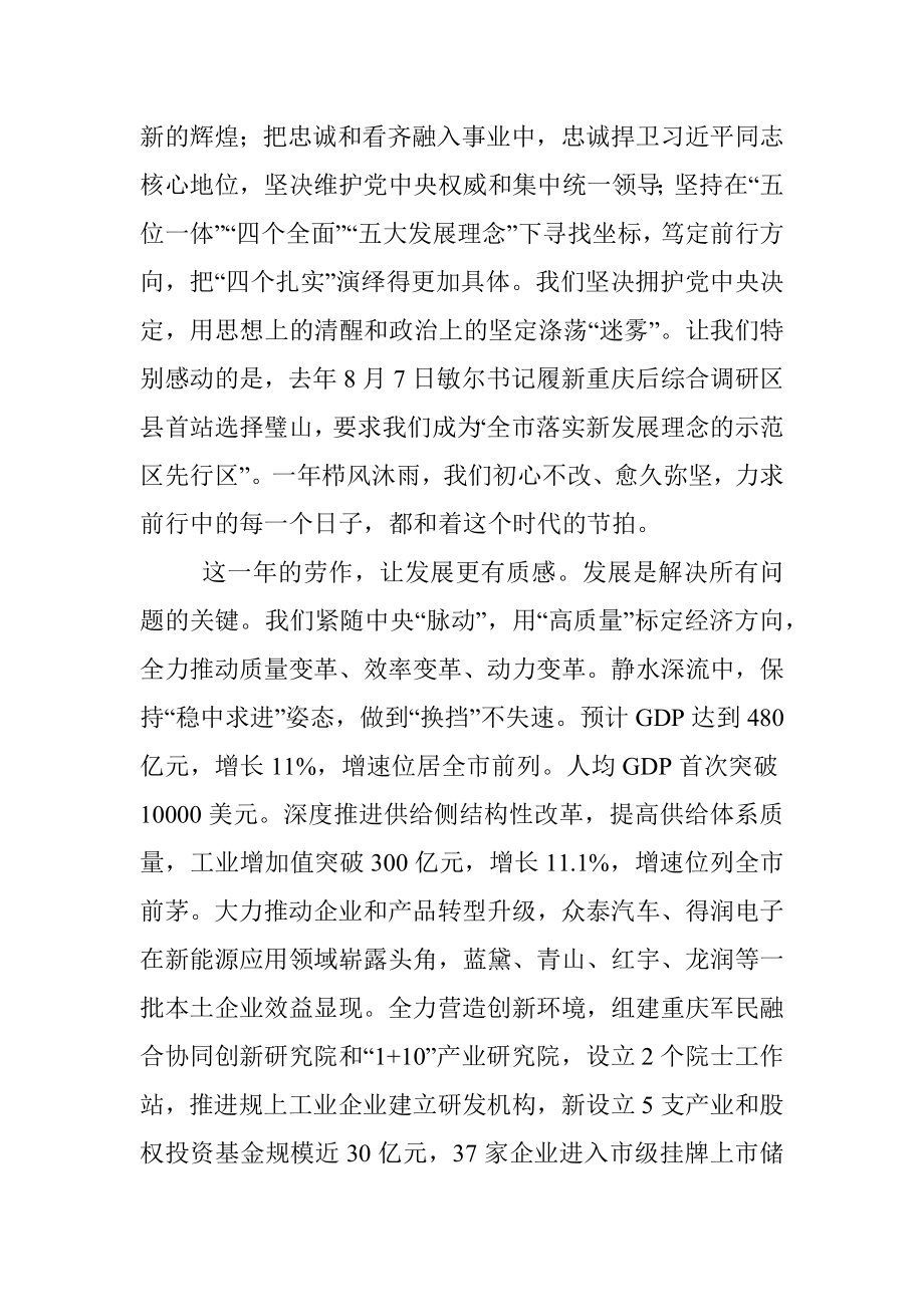 吴道藩在区委十四届三次全委会上的报告.docx_第2页