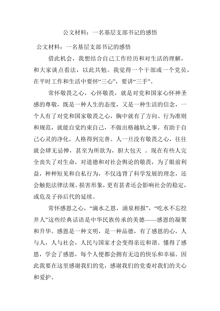 公文材料：一名基层支部书记的感悟.docx_第1页