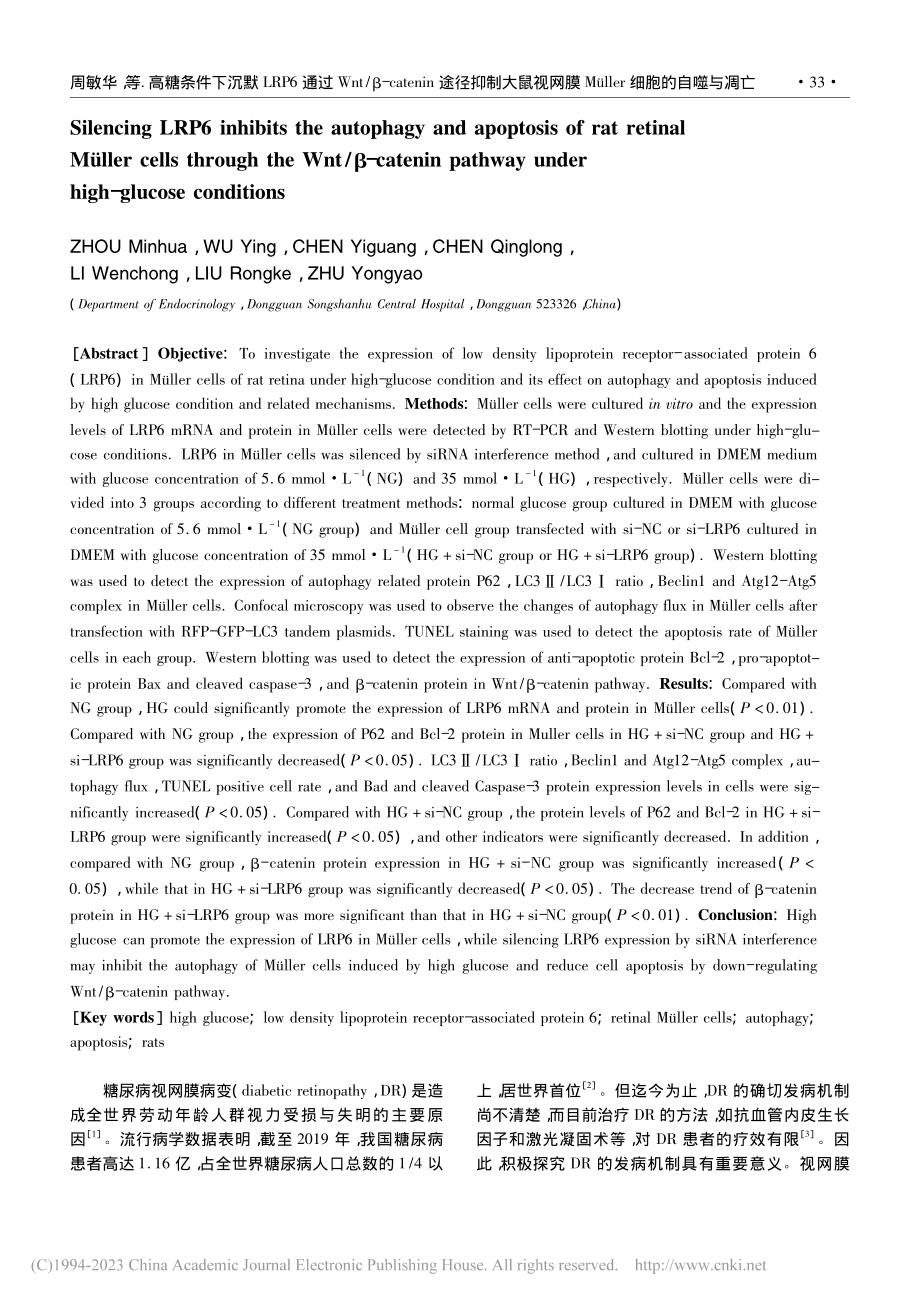 高糖条件下沉默LRP6通过...üller细胞的自噬与凋亡_周敏华.pdf_第2页