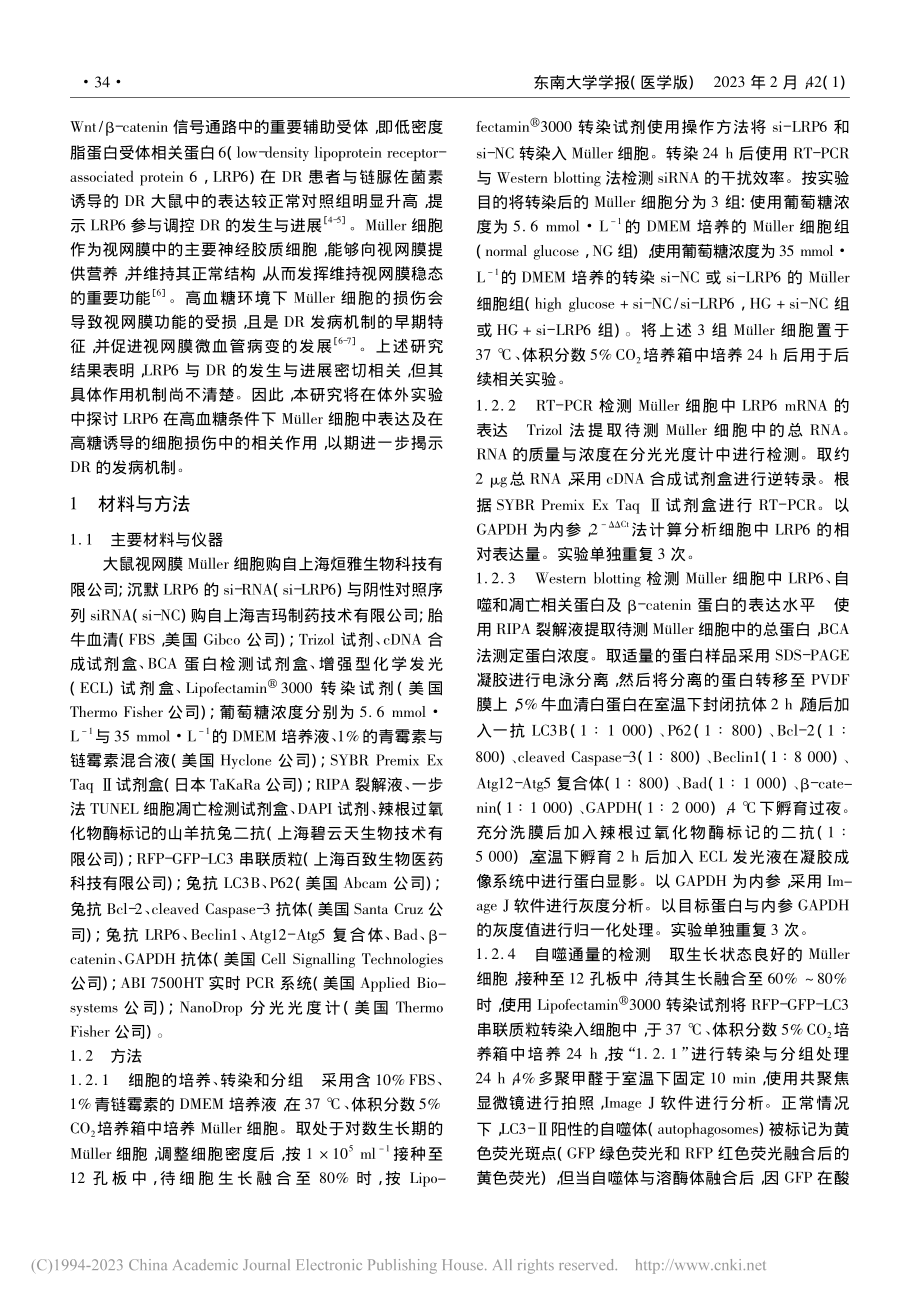 高糖条件下沉默LRP6通过...üller细胞的自噬与凋亡_周敏华.pdf_第3页