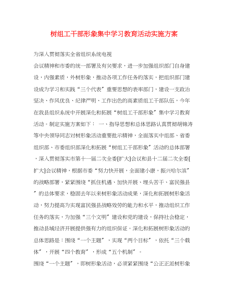 2023年树组工干部形象集习教育活动实施方案.docx_第1页