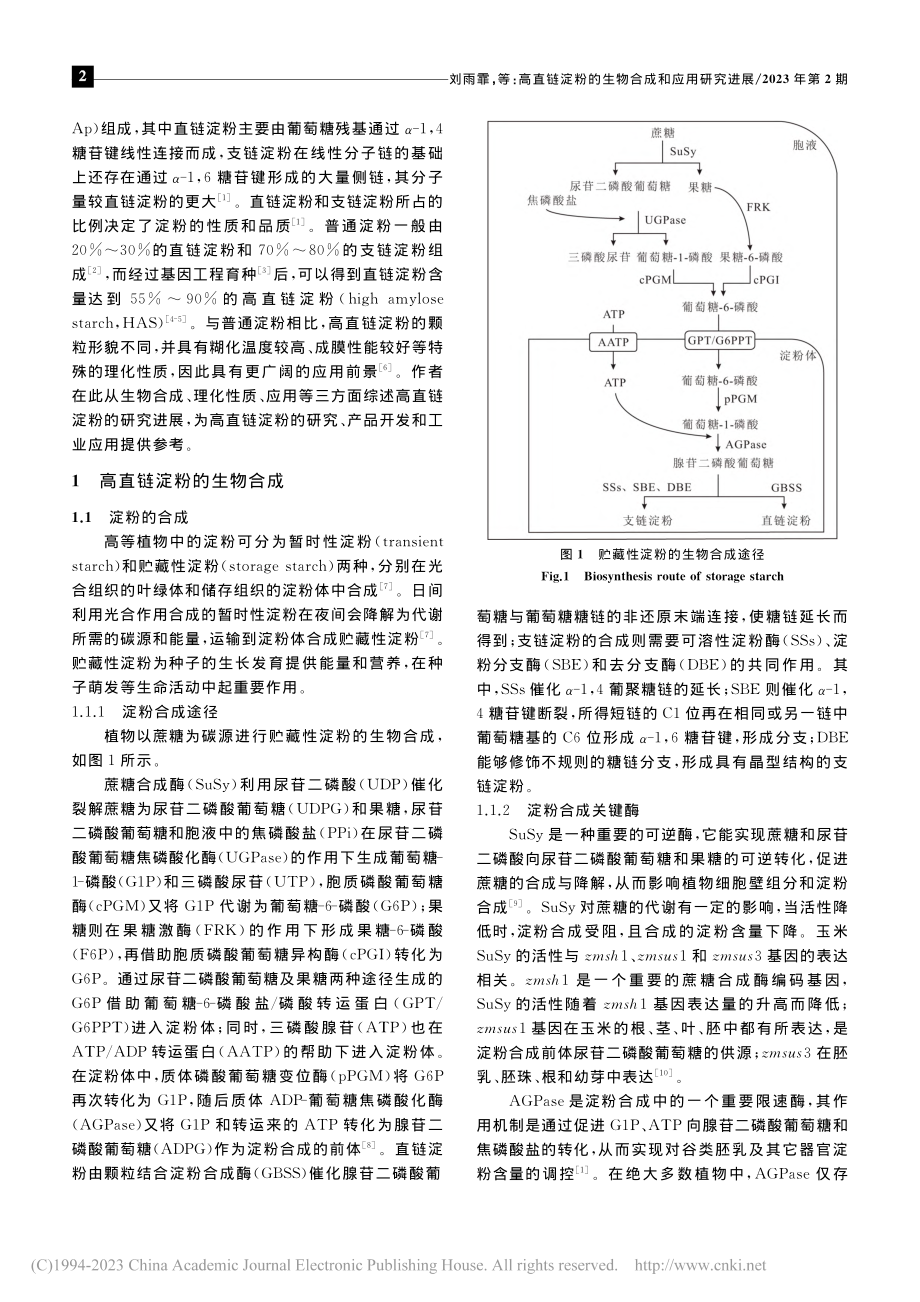 高直链淀粉的生物合成和应用研究进展_刘雨霏.pdf_第2页