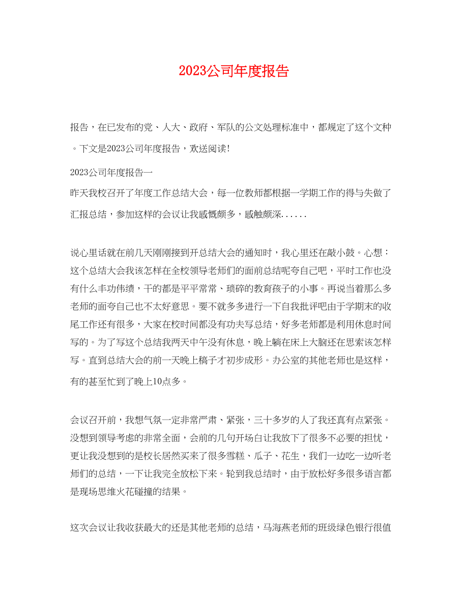 2023年公司年度报告.docx_第1页