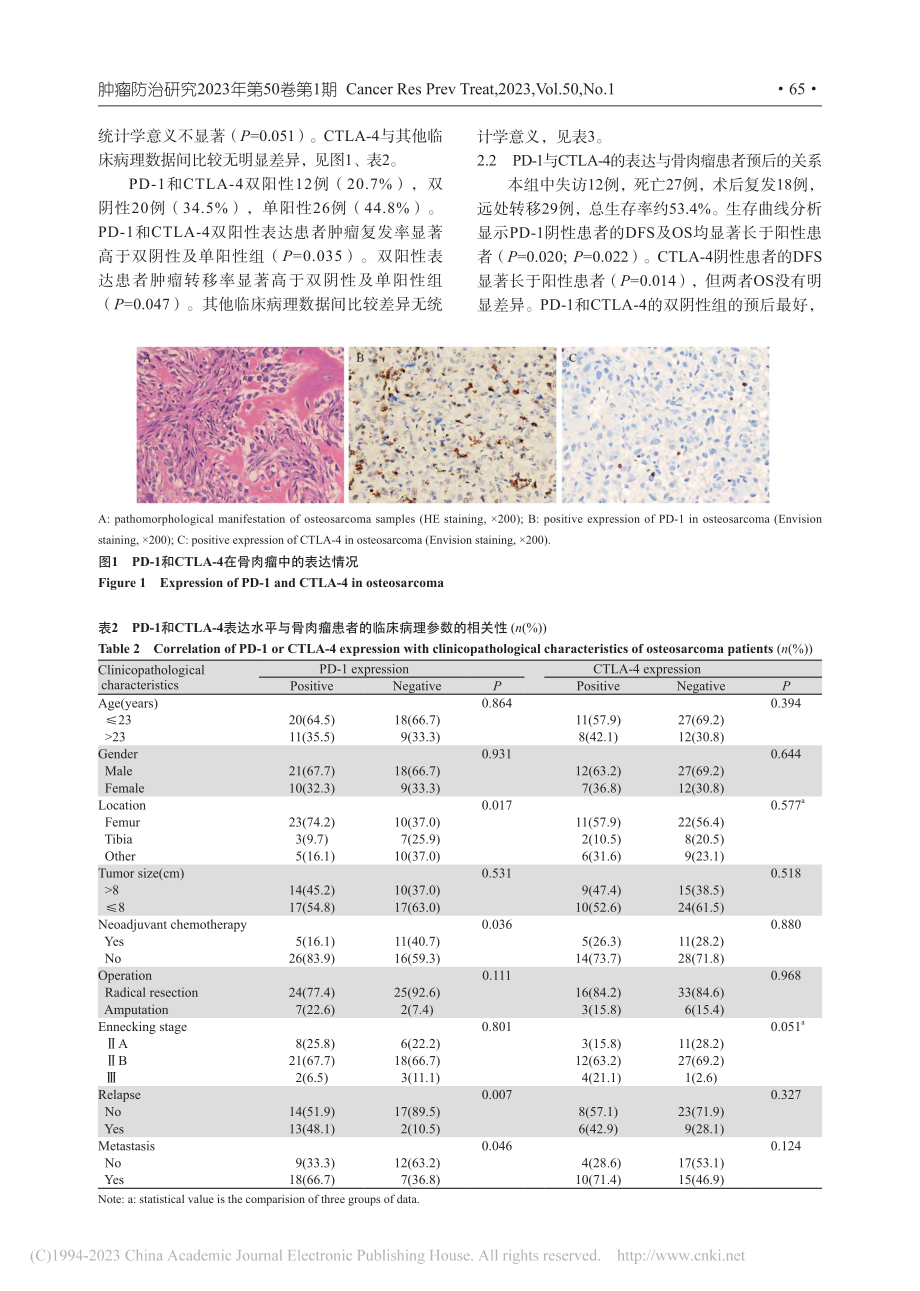 骨肉瘤中PD-1和CTLA...临床病理特征及预后的相关性_闫广宁.pdf_第3页