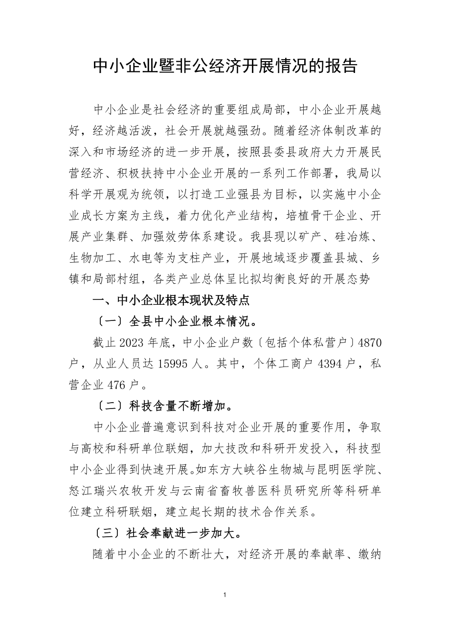 2023年中小企业暨非公经济发展情况报告.doc_第1页