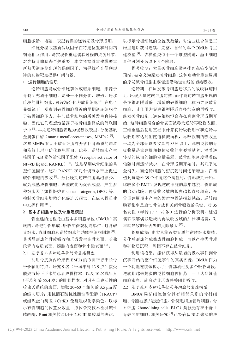 骨重建逆转期细胞事件及偶联因子再归类_孙东亮.pdf_第2页