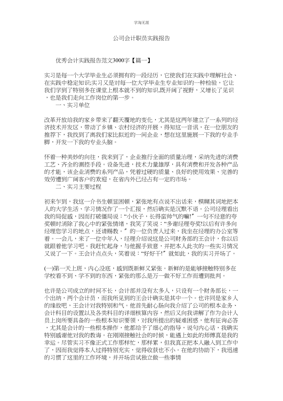 2023年公司会计职员实践报告.docx_第1页