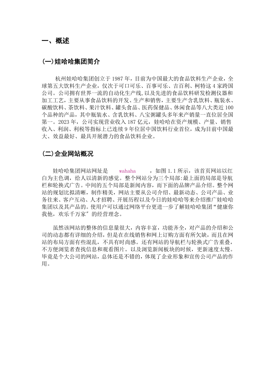 2023年娃哈哈集团网站分析诊断报告.doc_第2页