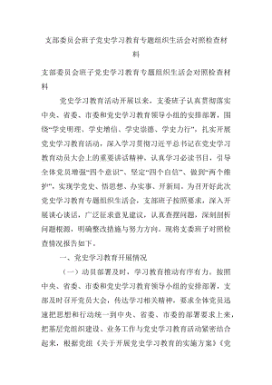 支部委员会班子党史学习教育专题组织生活会对照检查材料.docx