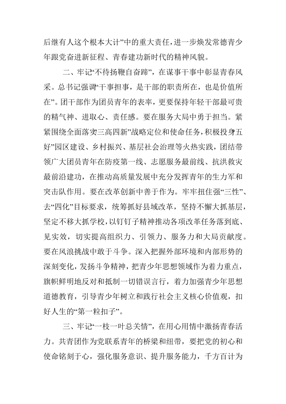 团委书记在年轻干部座谈会上的发言提纲.docx_第2页