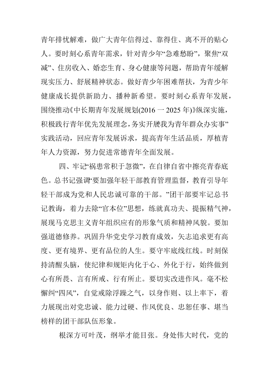 团委书记在年轻干部座谈会上的发言提纲.docx_第3页