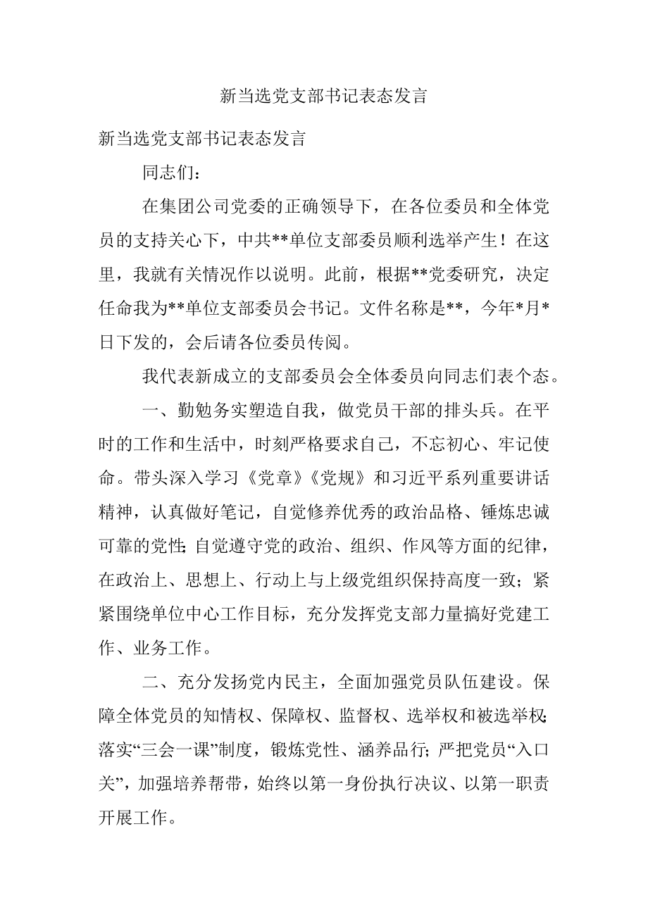 新当选党支部书记表态发言.docx_第1页