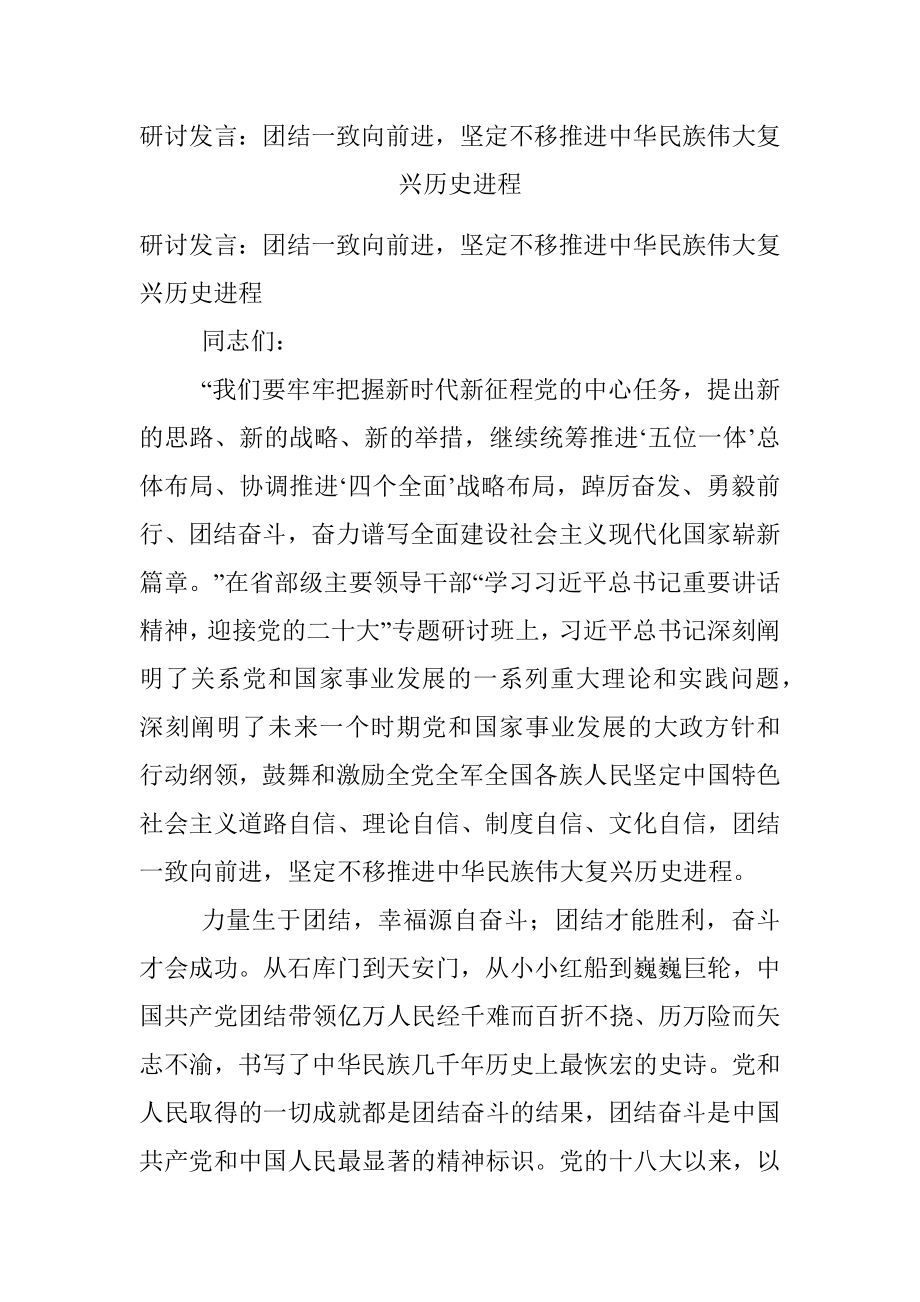 研讨发言：团结一致向前进坚定不移推进中华民族伟大复兴历史进程.docx_第1页