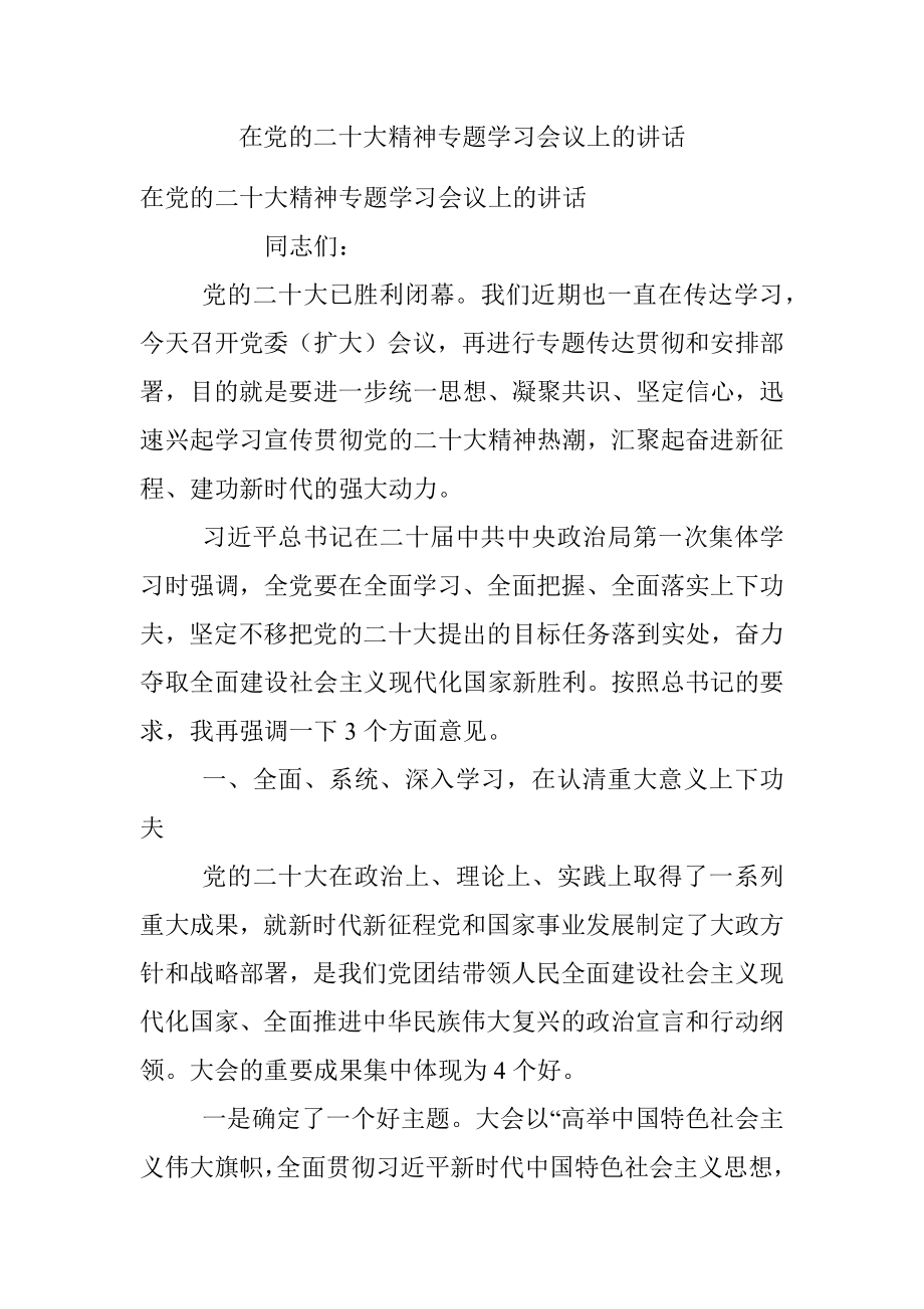 在党的二十大精神专题学习会议上的讲话.docx_第1页