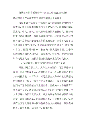 统战部部长在系统青年干部职工座谈会上的讲话.docx