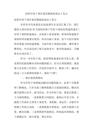 挂职年轻干部在基层锻炼座谈会上发言.docx