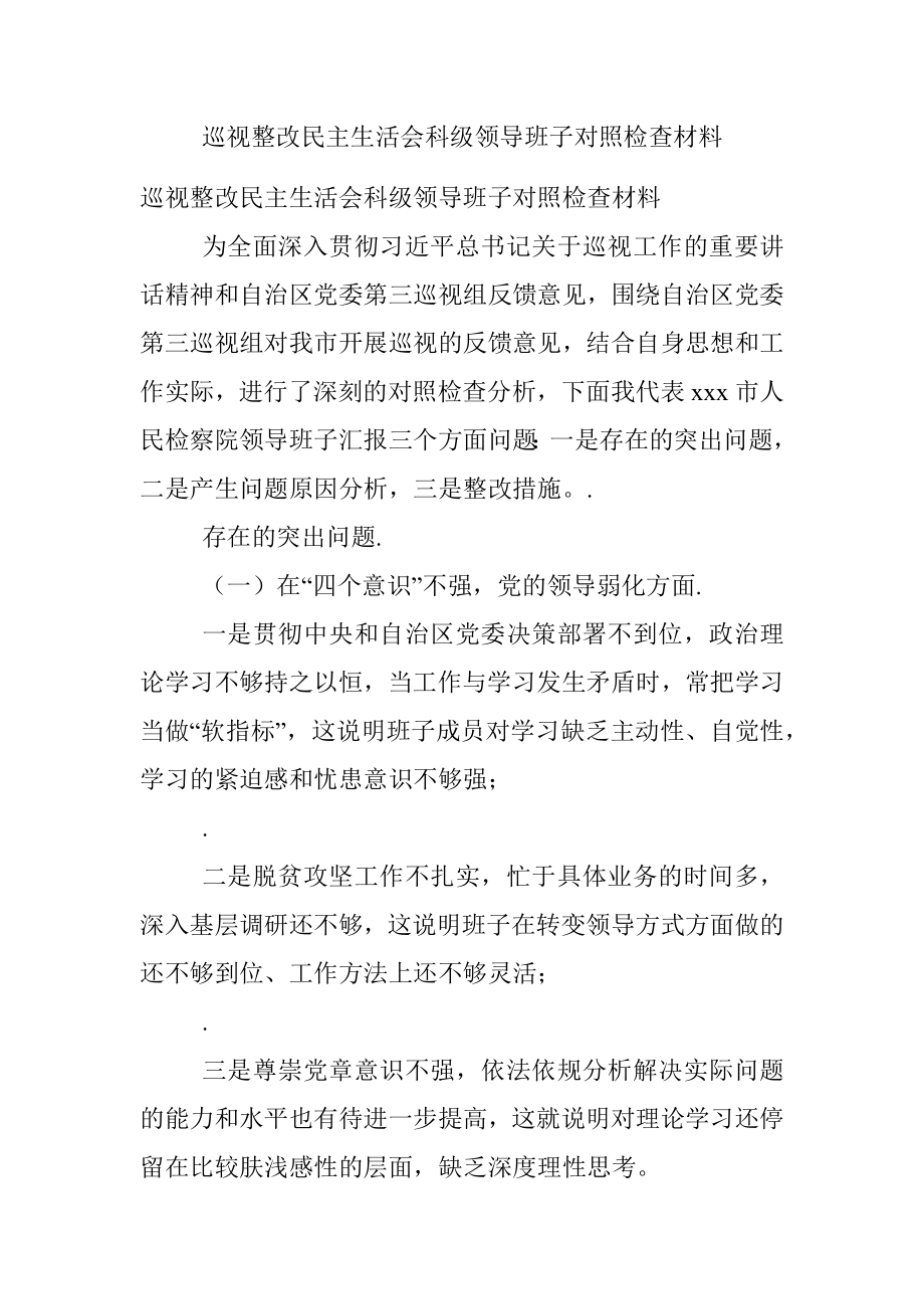 巡视整改民主生活会科级领导班子对照检查材料.docx_第1页