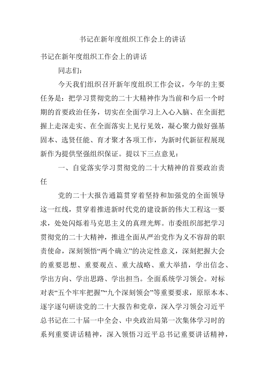 书记在新年度组织工作会上的讲话.docx_第1页