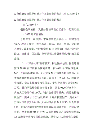 X市政府分管领导市委工作务虚会上的发言（全文3010字）.docx