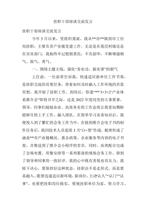 挂职干部座谈交流发言.docx