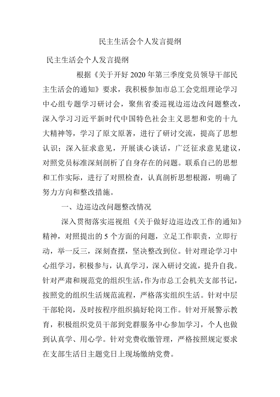 民主生活会个人发言提纲.docx_第1页