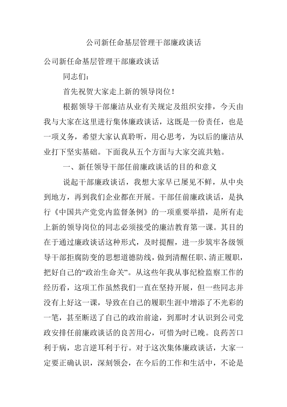 公司新任命基层管理干部廉政谈话.docx_第1页