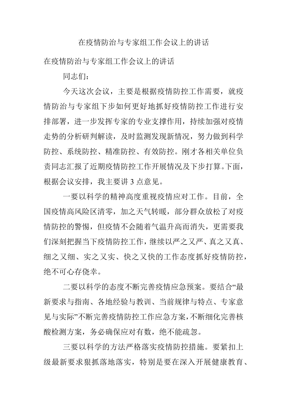 在疫情防治与专家组工作会议上的讲话.docx_第1页