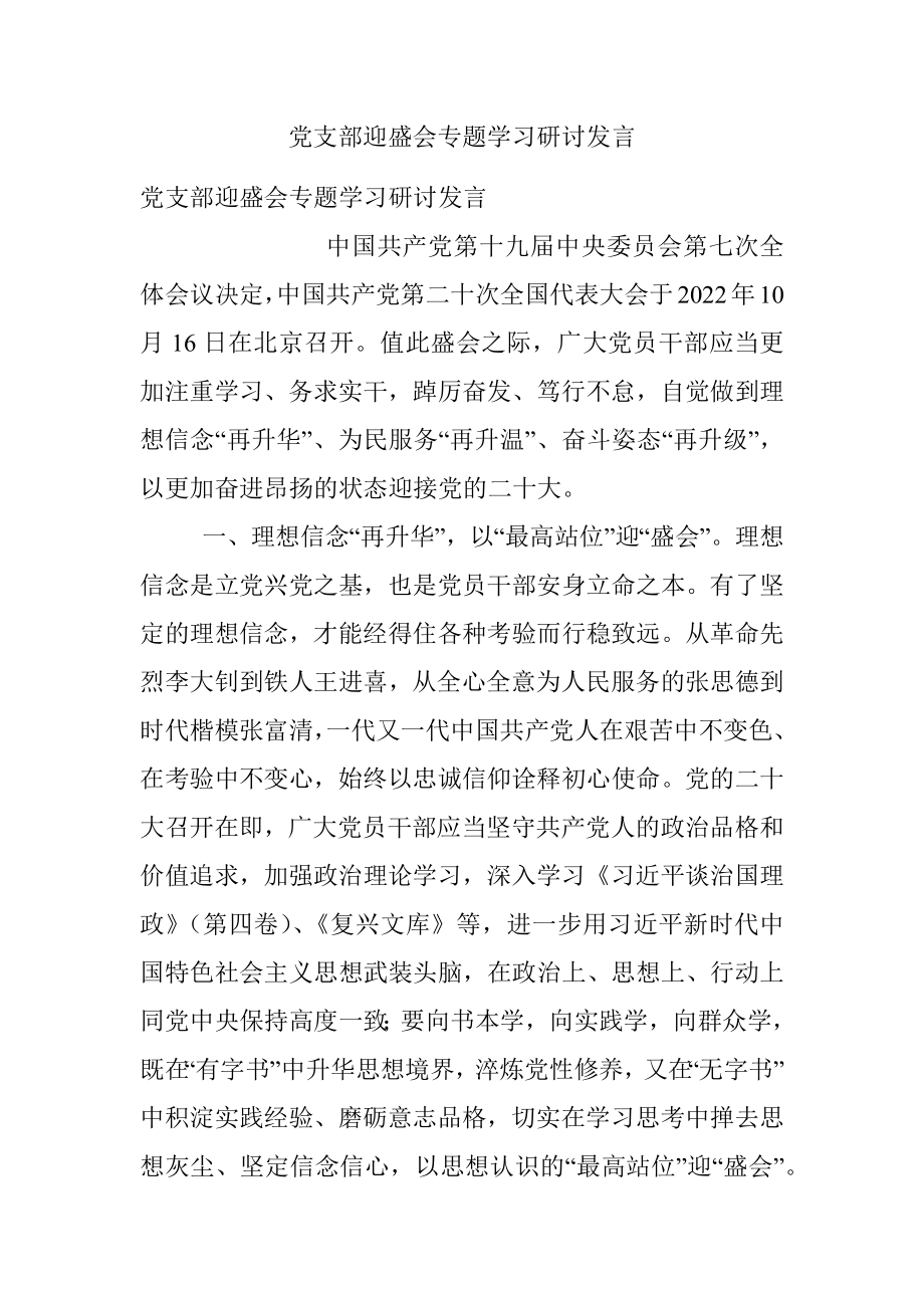 党支部迎盛会专题学习研讨发言.docx_第1页