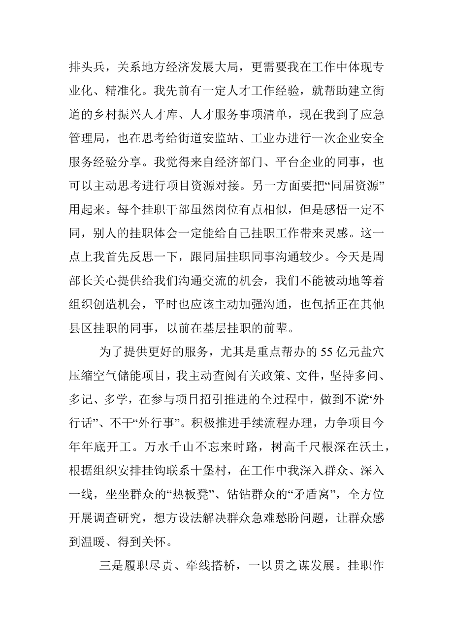 挂职干部交流发言稿.docx_第2页