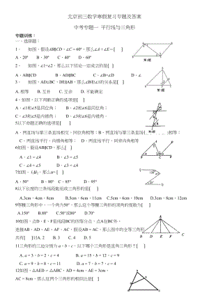 2023年九年级数学寒假复习专题及答案.docx