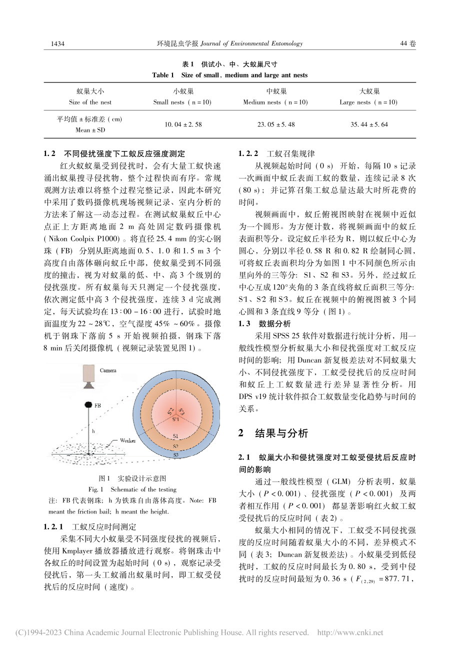 红火蚁工蚁受侵扰的行为反应...小和侵扰强度之间的关系研究_马琳.pdf_第3页