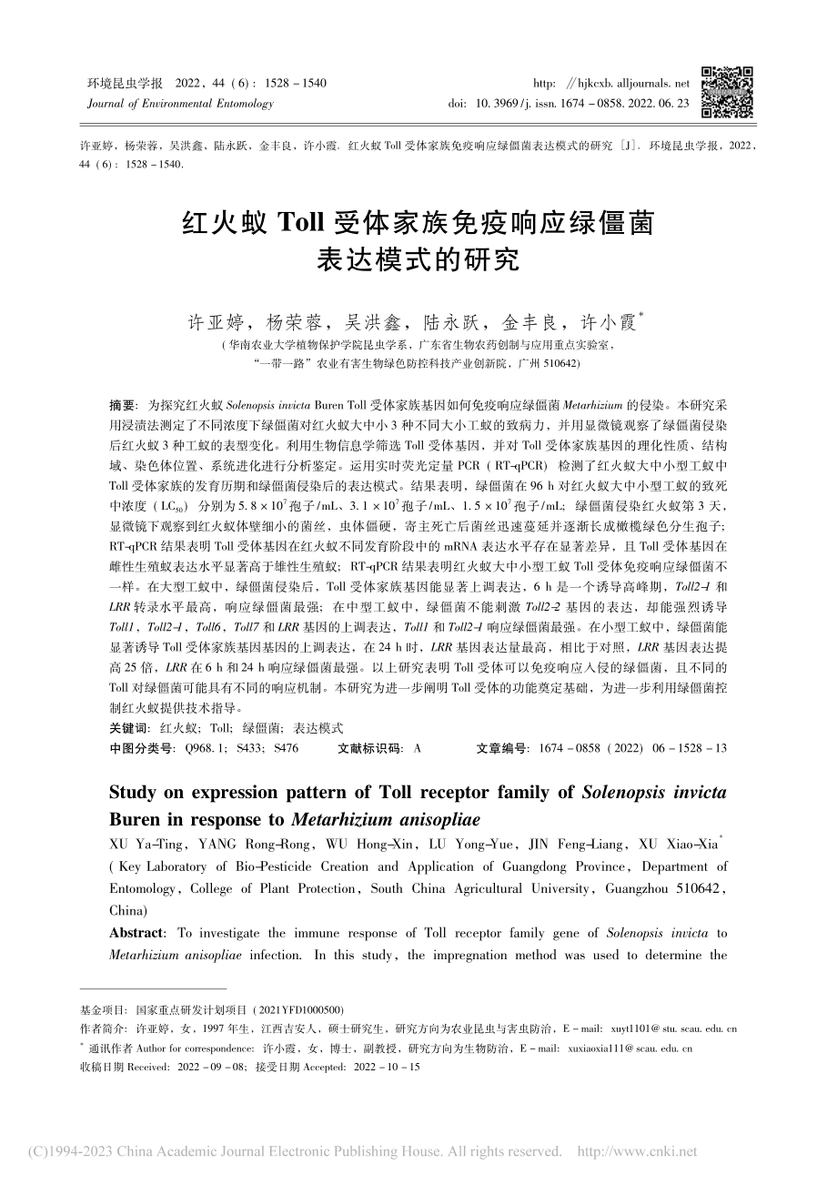 红火蚁Toll受体家族免疫响应绿僵菌表达模式的研究_许亚婷.pdf_第1页