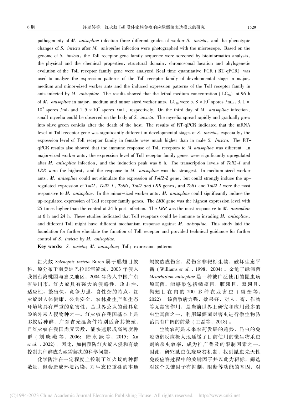 红火蚁Toll受体家族免疫响应绿僵菌表达模式的研究_许亚婷.pdf_第2页