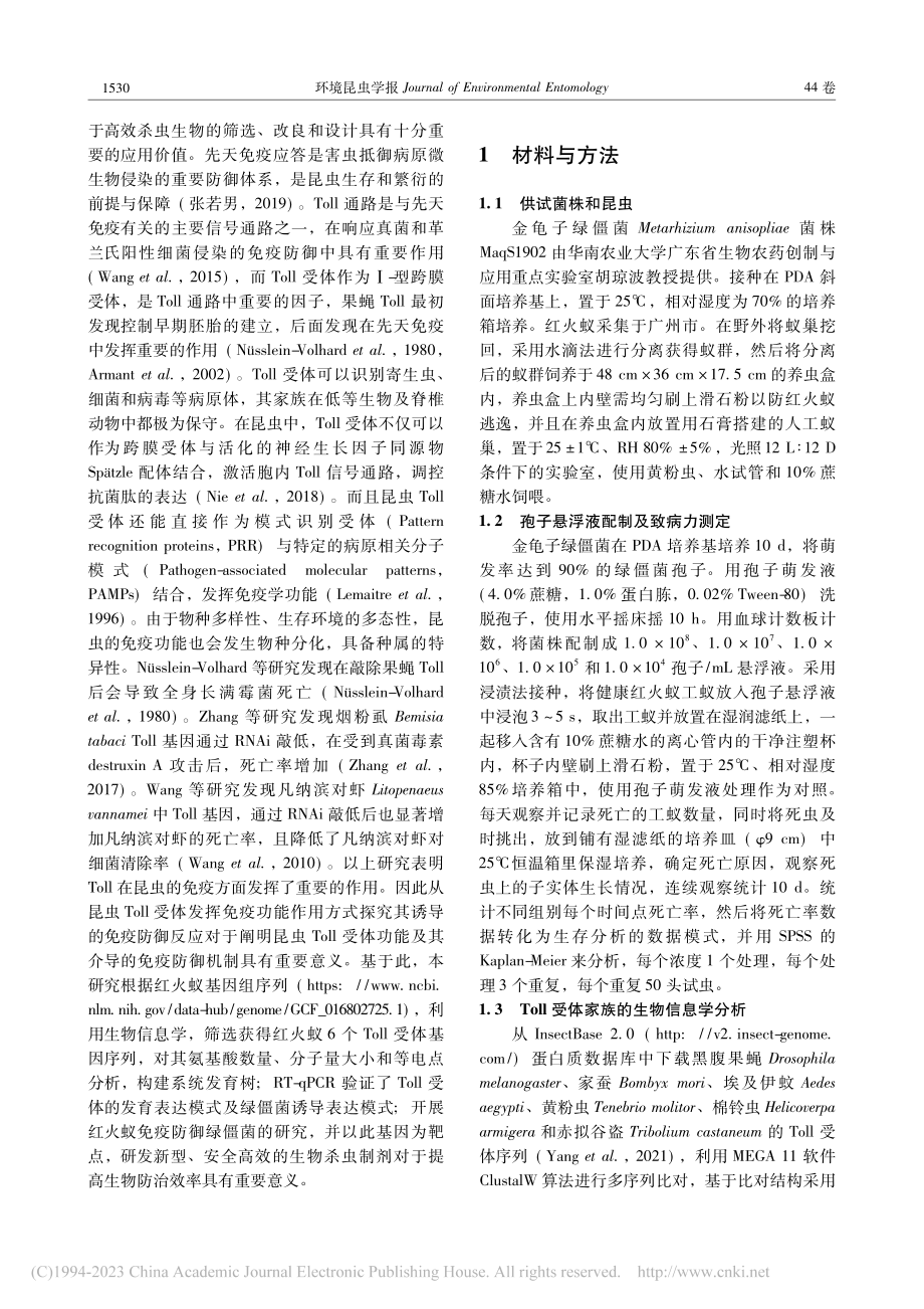 红火蚁Toll受体家族免疫响应绿僵菌表达模式的研究_许亚婷.pdf_第3页