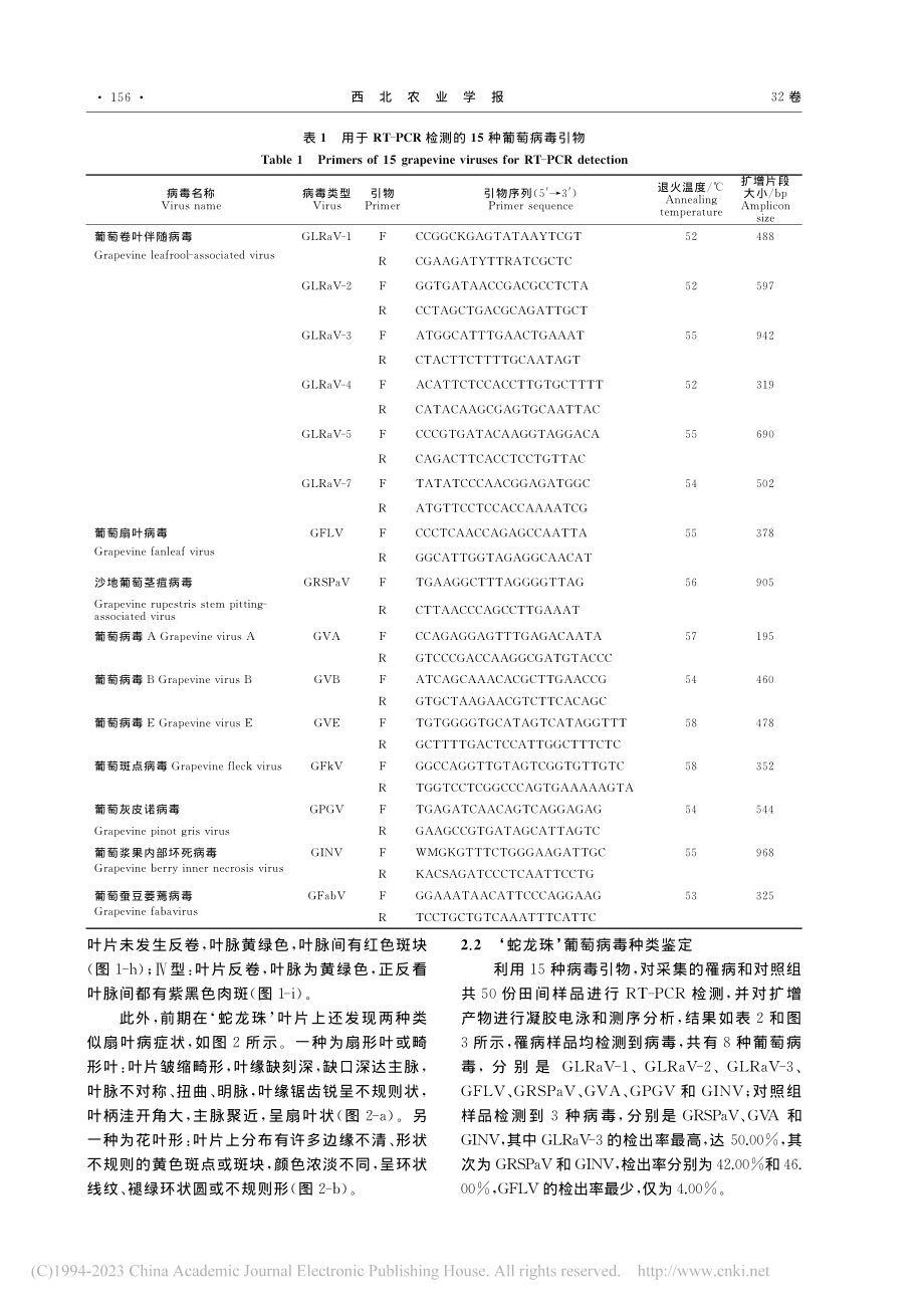 贺兰山东麓‘蛇龙珠’葡萄病...病种类鉴定及对采收期的影响_张强强.pdf_第3页